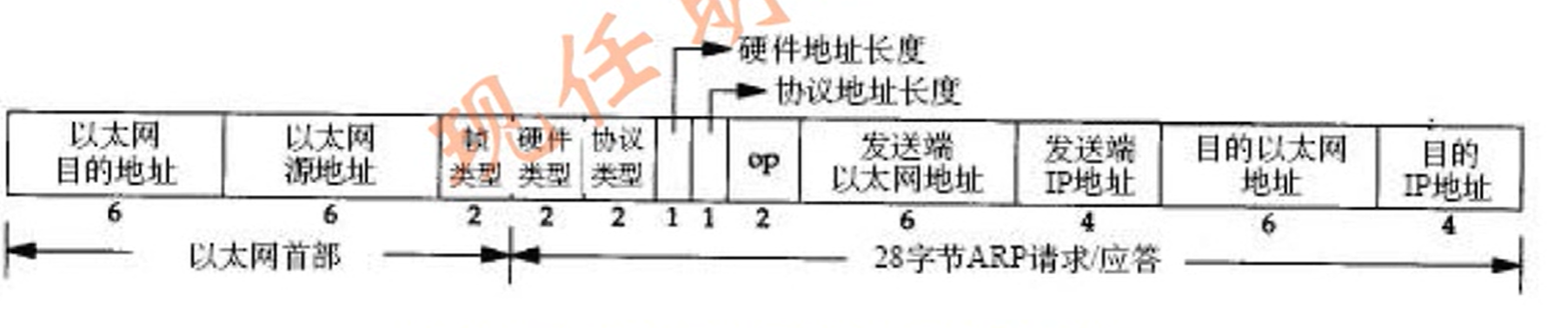 ARP报文格式