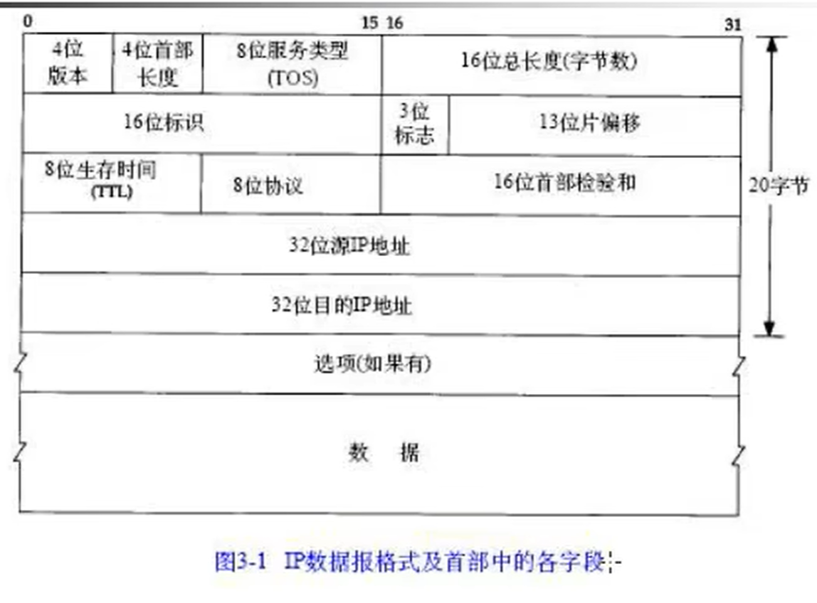 IP数据报格式