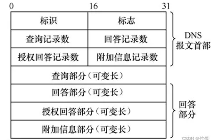 DNS报文格式
